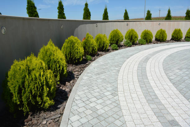 Best Local Driveway Pavers  in Big River, CA